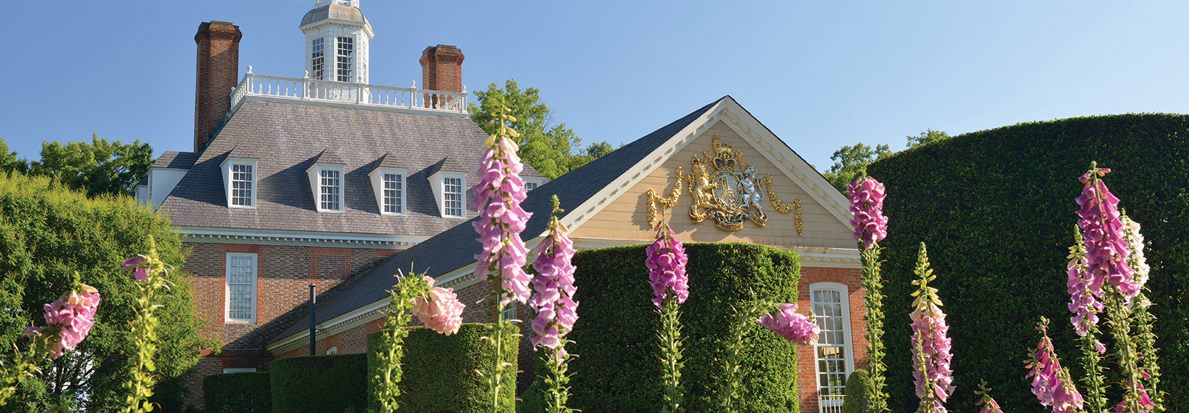 The Governor's Palace in Williamsburg, Virginia, on a sunny day, with tall pink foxglove flowers in the foreground and a clear blue sky above.