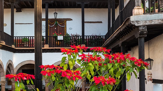 Best of Central Mexico