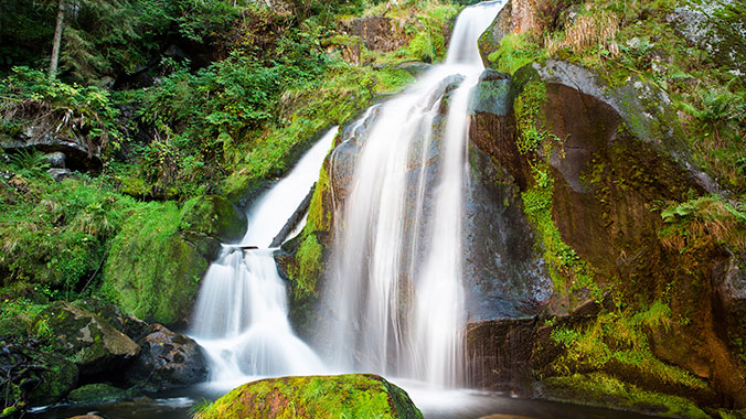 23646-exploring-black-forest-germany-grandchild-lghoz.jpg