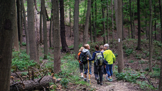 Choose Your Pace: A Grand Hiking Journey in Southern Ontario