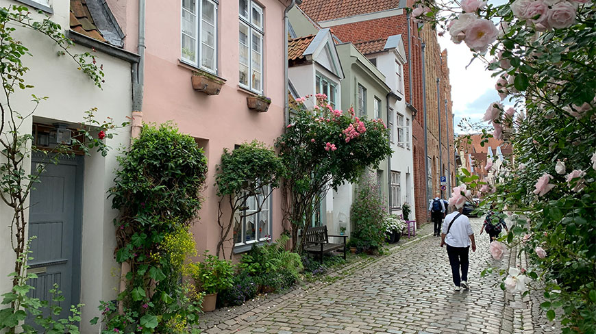 A narrow cobblestone street in Bremen, Germany, is lined with colorful houses and bushes of blooming pink roses.