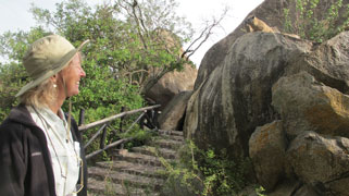 The Best of Kenya and Tanzania: A Classic Safari - Women Only