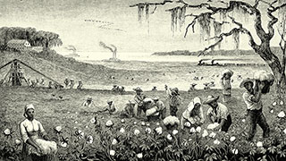A historical illustration depicts enslaved people harvesting cotton in a large field, with a steamboat on a river in the background.