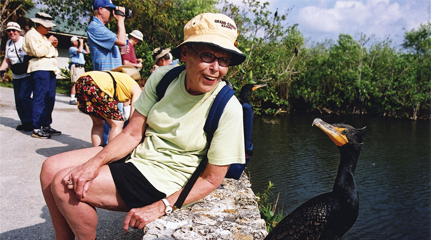 Hike, Bike, Kayak florida everglades