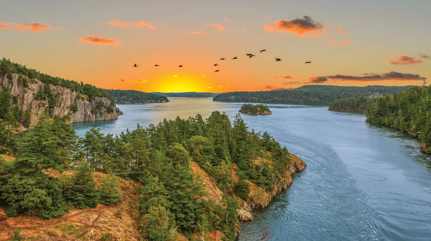 Birds fly over a scenic waterway at sunset, surrounded by the lush evergreen forests and rocky cliffs of Washington's breathtaking Pacific Northwest.