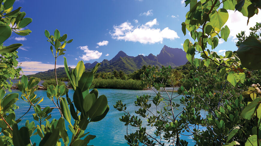 Lush tropical greenery frames a vibrant turquoise lagoon with dramatic, jagged mountain peaks in French Polynesia under a bright blue sky.