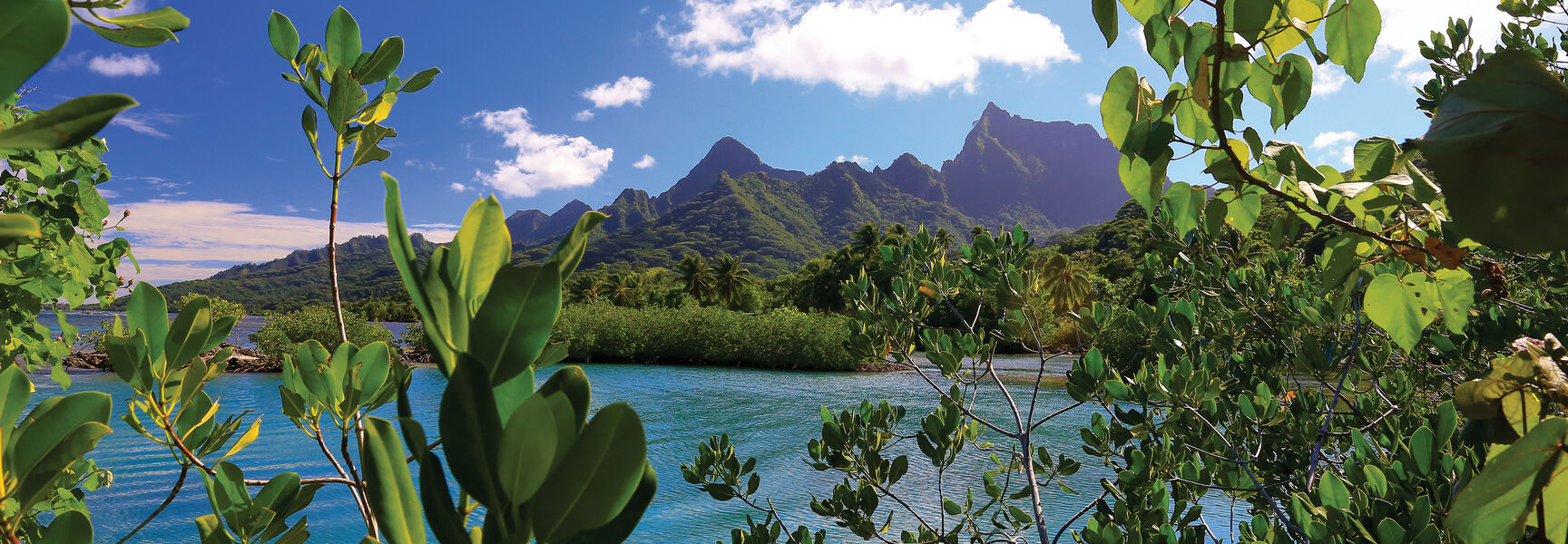 Lush tropical greenery frames a vibrant turquoise lagoon with dramatic, jagged mountain peaks in French Polynesia under a bright blue sky.