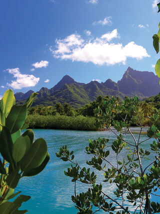 Lush tropical greenery frames a vibrant turquoise lagoon with dramatic, jagged mountain peaks in French Polynesia under a bright blue sky.