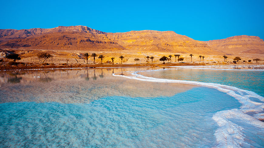 Salt formations line the calm, crystalline shore of the Dead Sea with a line of palm trees and mountains under a blue sky.
