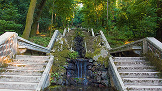 A wide, moss-covered stone staircase in a Costa Rican forest splits to go around a tiered fountain flowing into a pool below.