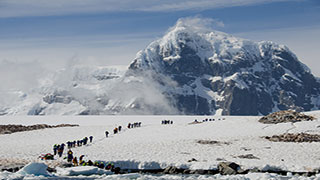 A group of hikers walks in a line across a snowy Antarctic landscape with a large mountain in the background.
