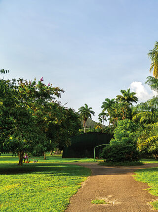 A scenic walking path winds through a lush botanical garden in Trinidad and Tobago, surrounded by tropical palm trees and vibrant green foliage.