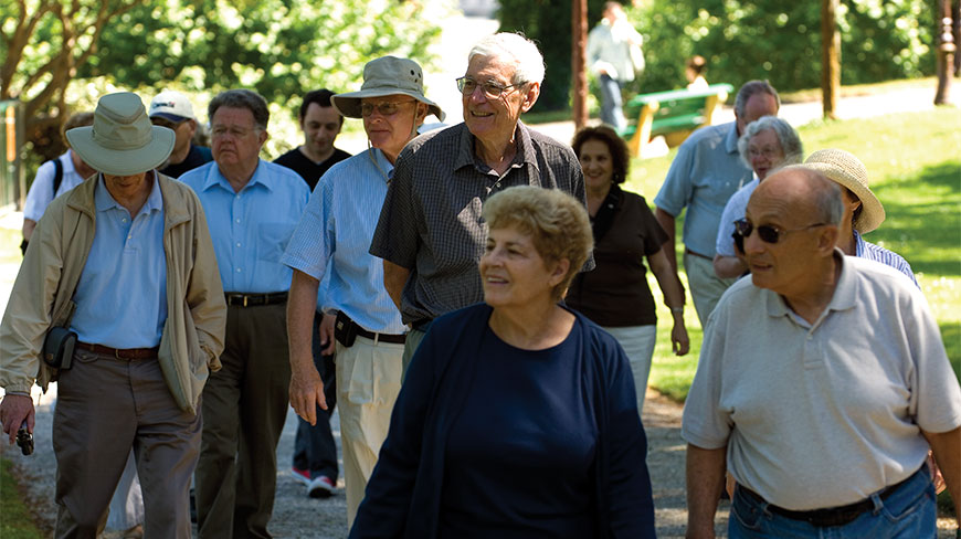 A group of senior tourists walks along a sunny, tree-lined path in Arcachon, France.