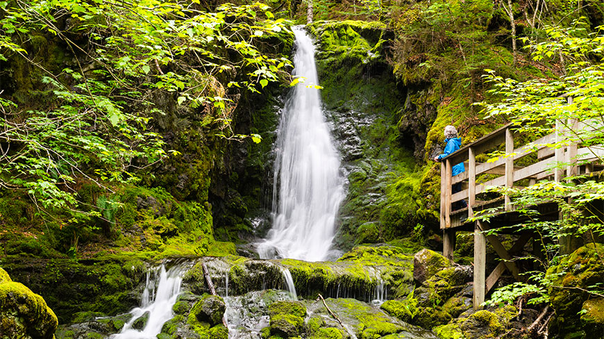 A person in a blue jacket views a lush, moss-covered waterfall from a wooden bridge in Fundy National Park.