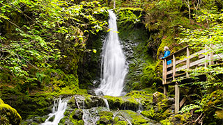 A person in a blue jacket views a lush, moss-covered waterfall from a wooden bridge in Fundy National Park.