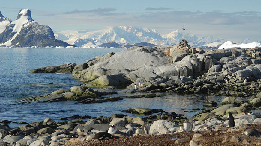 Penguins stand on a rocky shore in the South Shetland Islands with snow-covered mountains and calm water in the background.