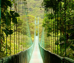 Monteverde Cloud Forest