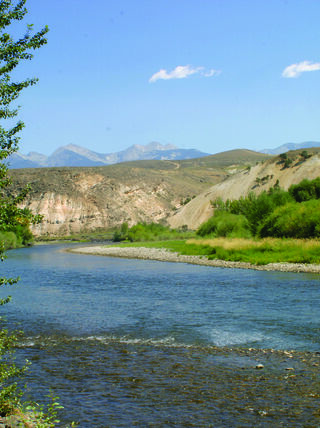 A wide view of the Lower Salmon River in Idaho flowing past green trees and hills toward distant mountains under a clear blue sky.