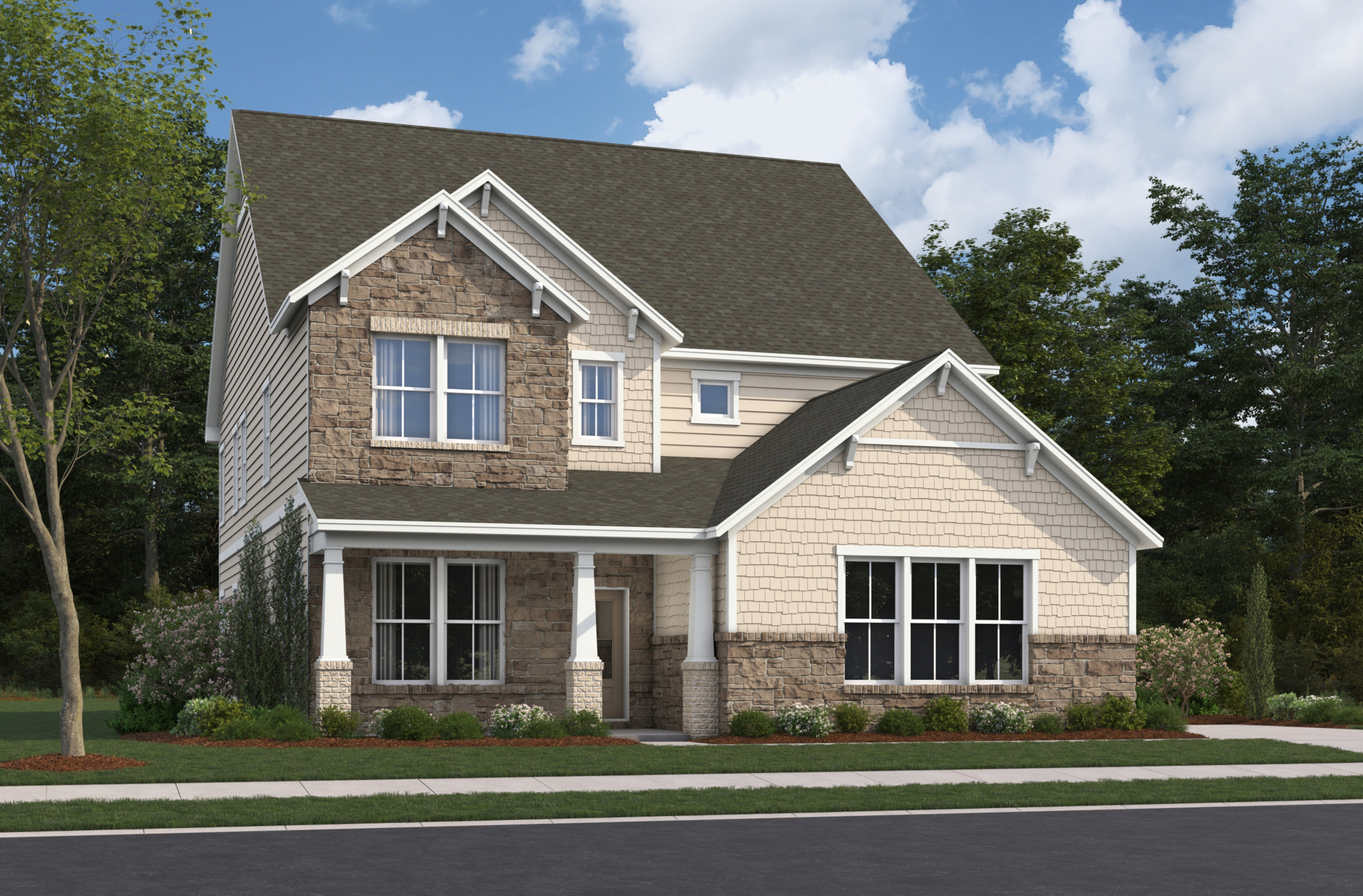 Card image for Shelby