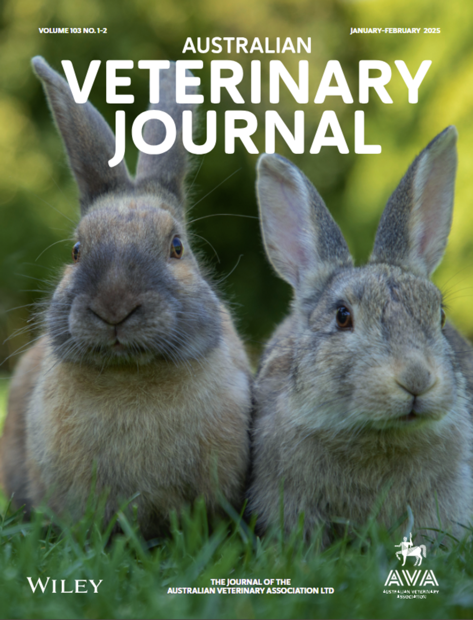 AVJ cover Jan Feb 2025.png