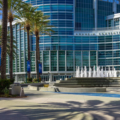 Water fountain and palm trees out of the Anaheim Convention Center