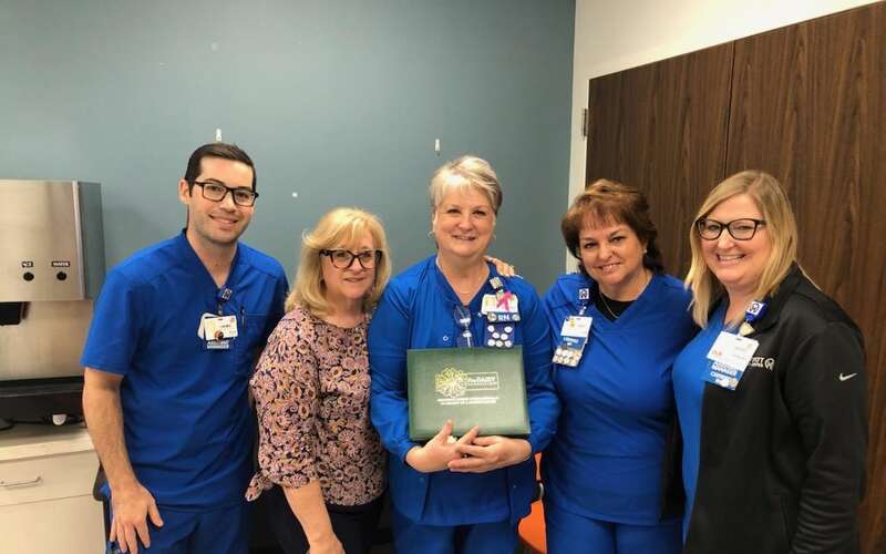 2024 DAISY and Sunflower Award 