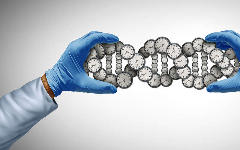graphic of two gloved hands holding a DNA helix made out of clocks