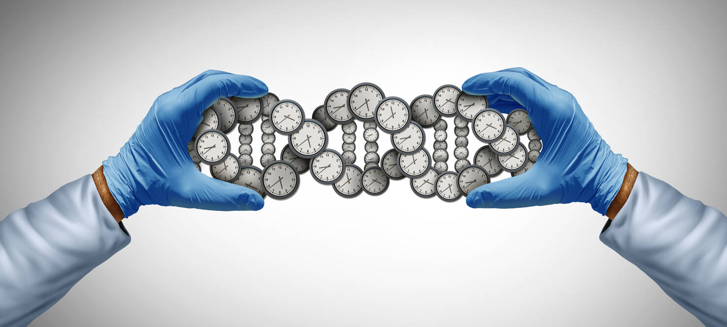 graphic of two gloved hands holding a DNA helix made out of clocks