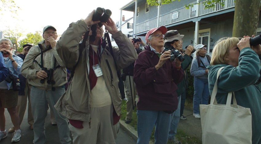 A group of birders searches through binoculars in front of a building