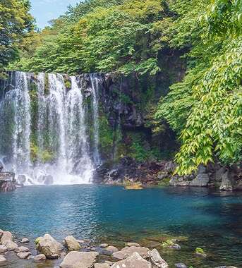 A picturesque waterfall surrounded by lush greenery and a pool of blue water