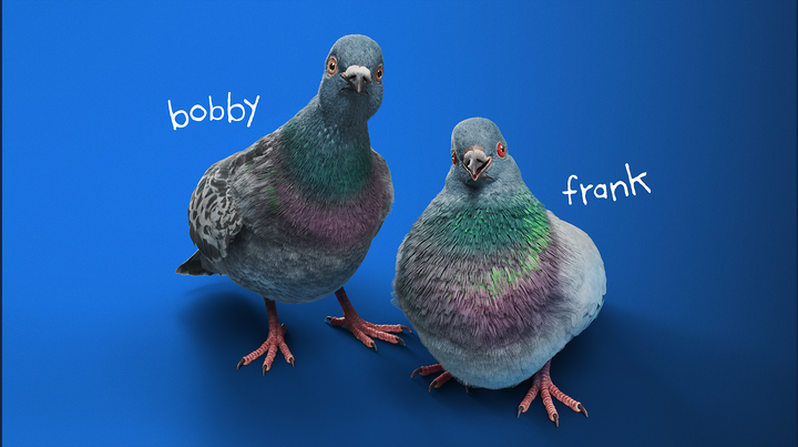 Bobby-Frank.png