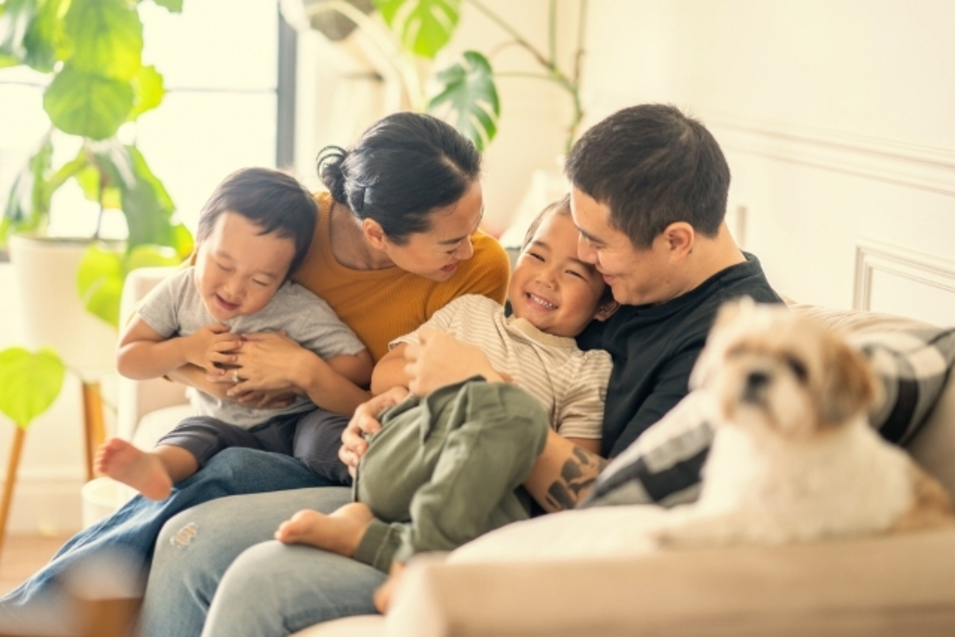 Charity Group_Title Insurance_Beazer.jpg