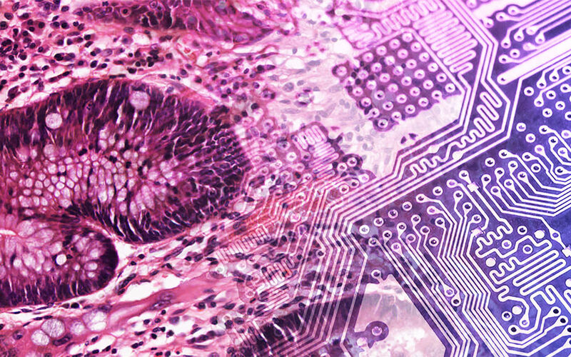 Digital Pathology Technology