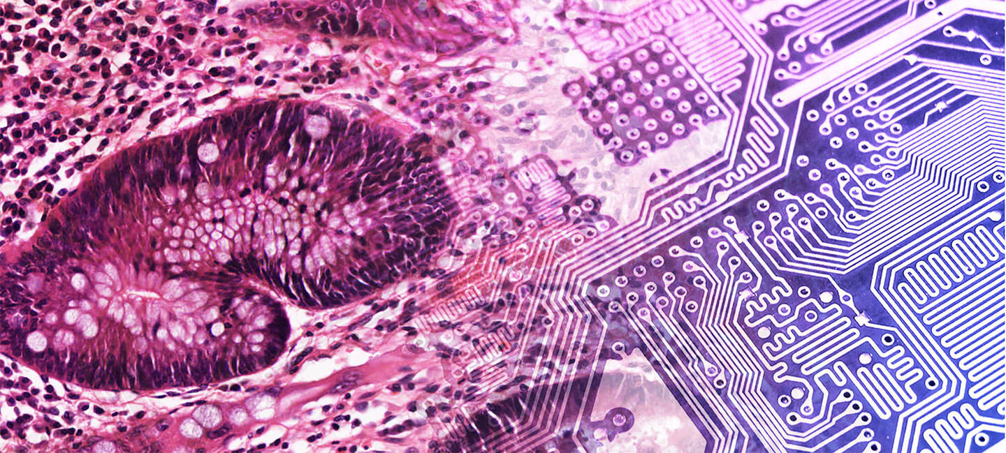 Digital Pathology Technology