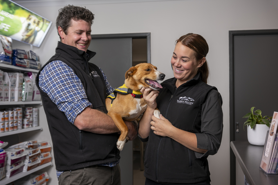 Dr Matt Redgewell BOQ Specialist Advertorial Image