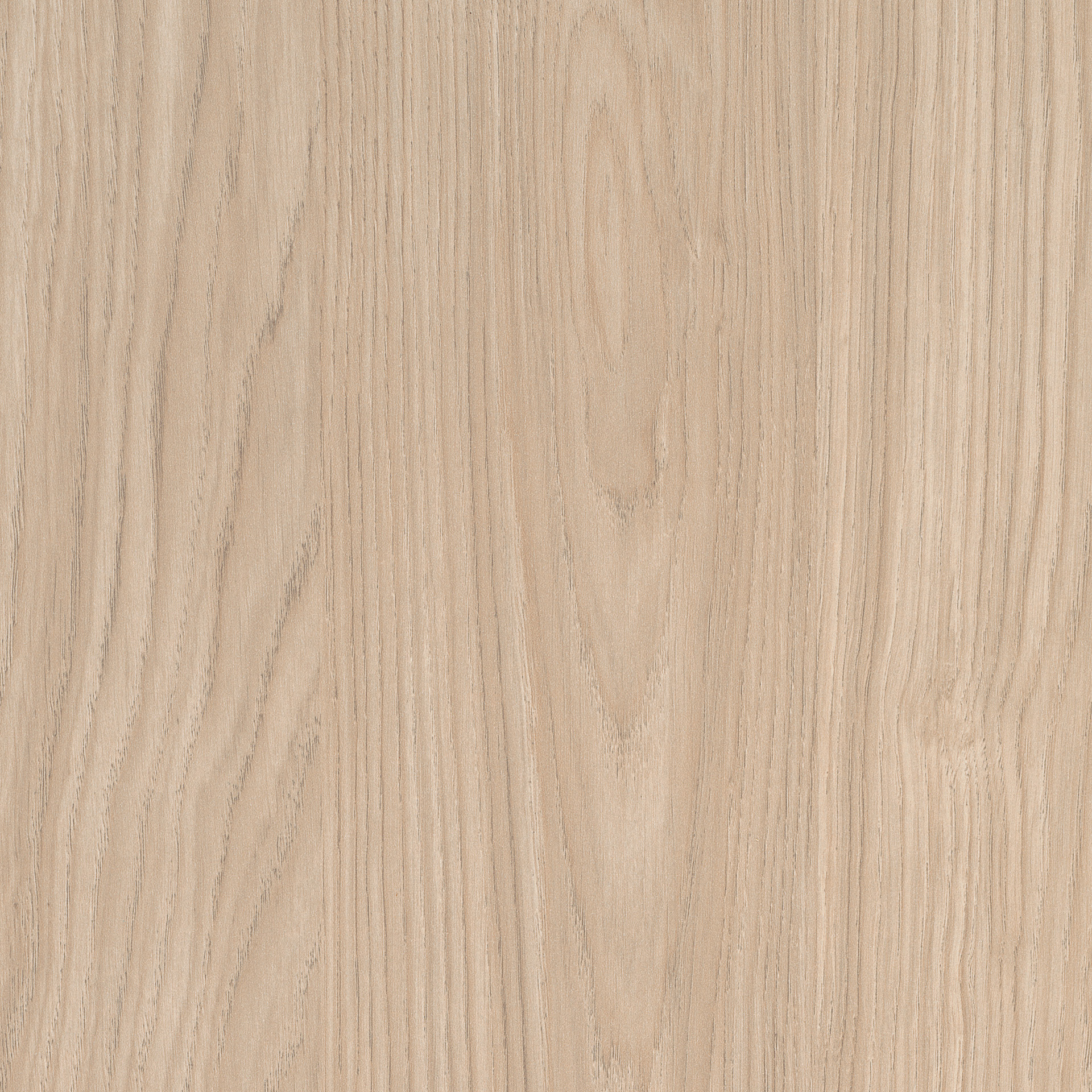 EGGER_Sand_Casella_Oak_H1388_ST17_Closeup