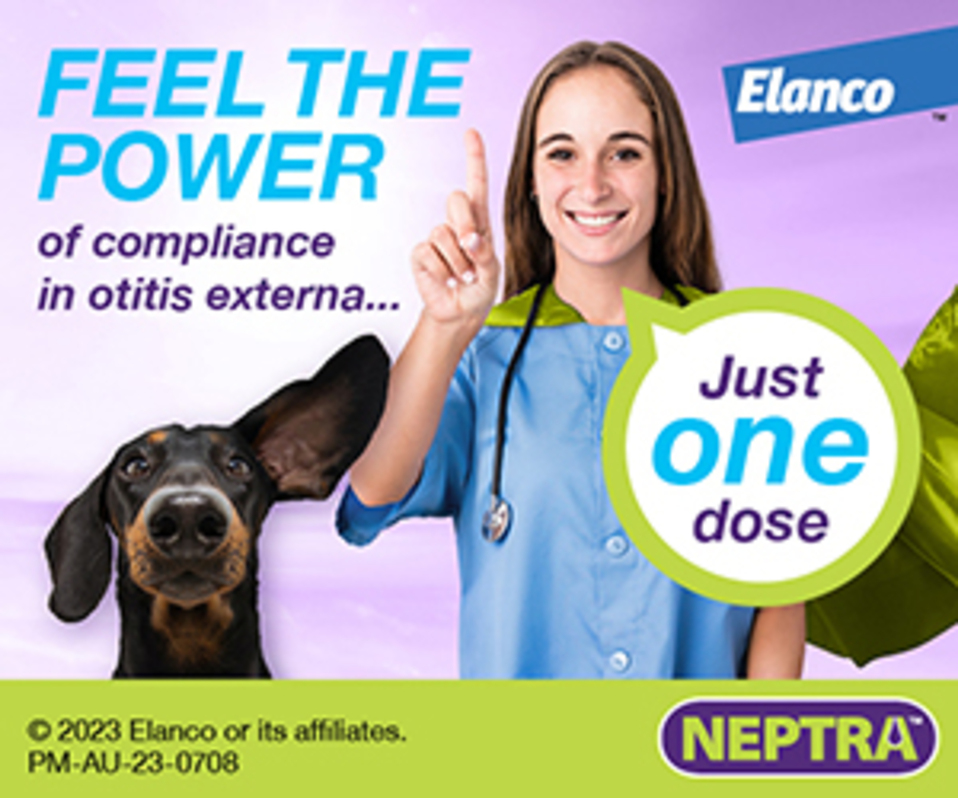 ELANCO Neptra Feb 2024 AVA Newsletter ad 300x250px.jpg ELANCO Neptra Feb 2024 AVA Newsletter ad 300x250px.jpg