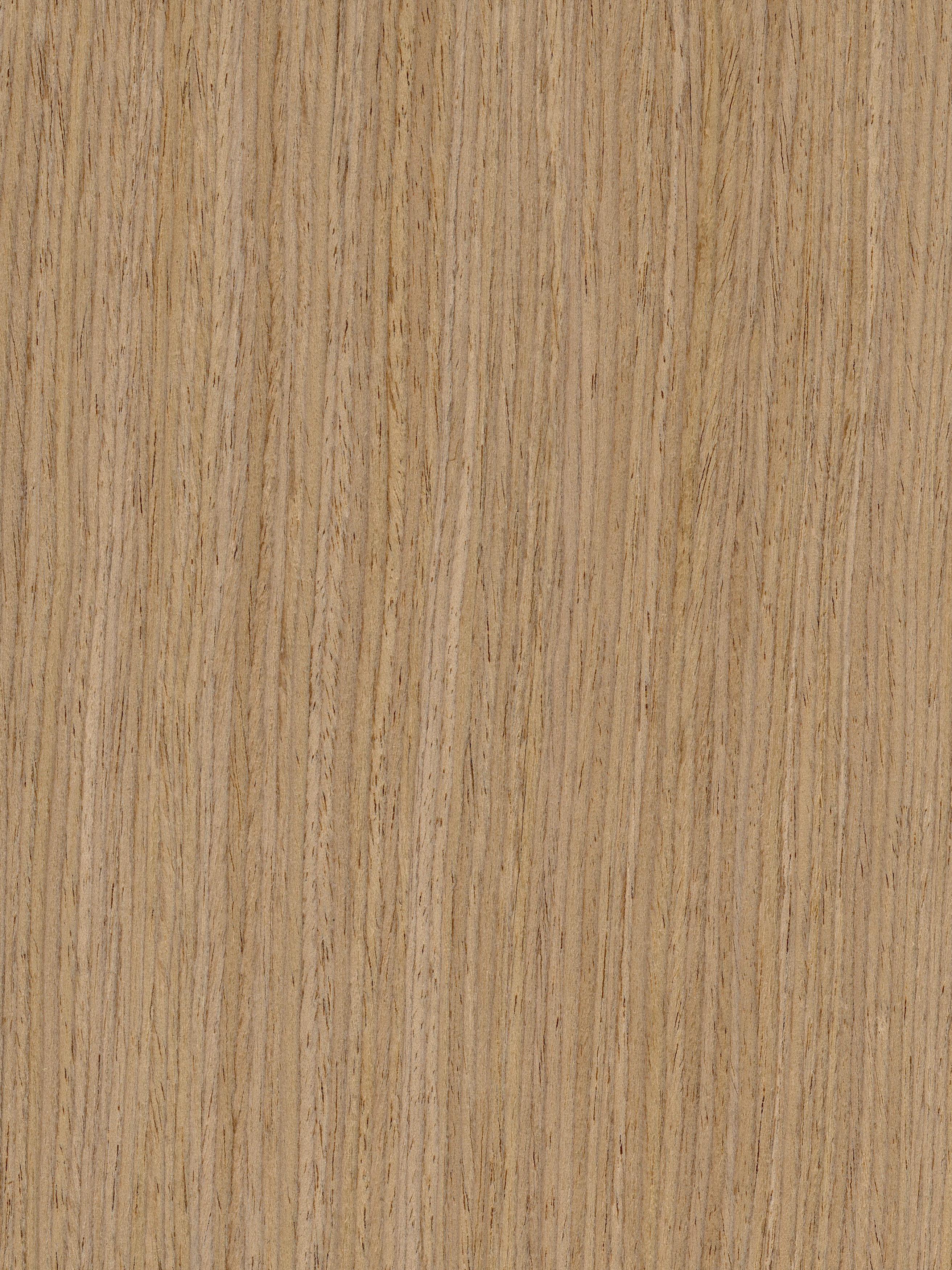 EW_OAK_12_1S_Rift_White_Oak_Closeup