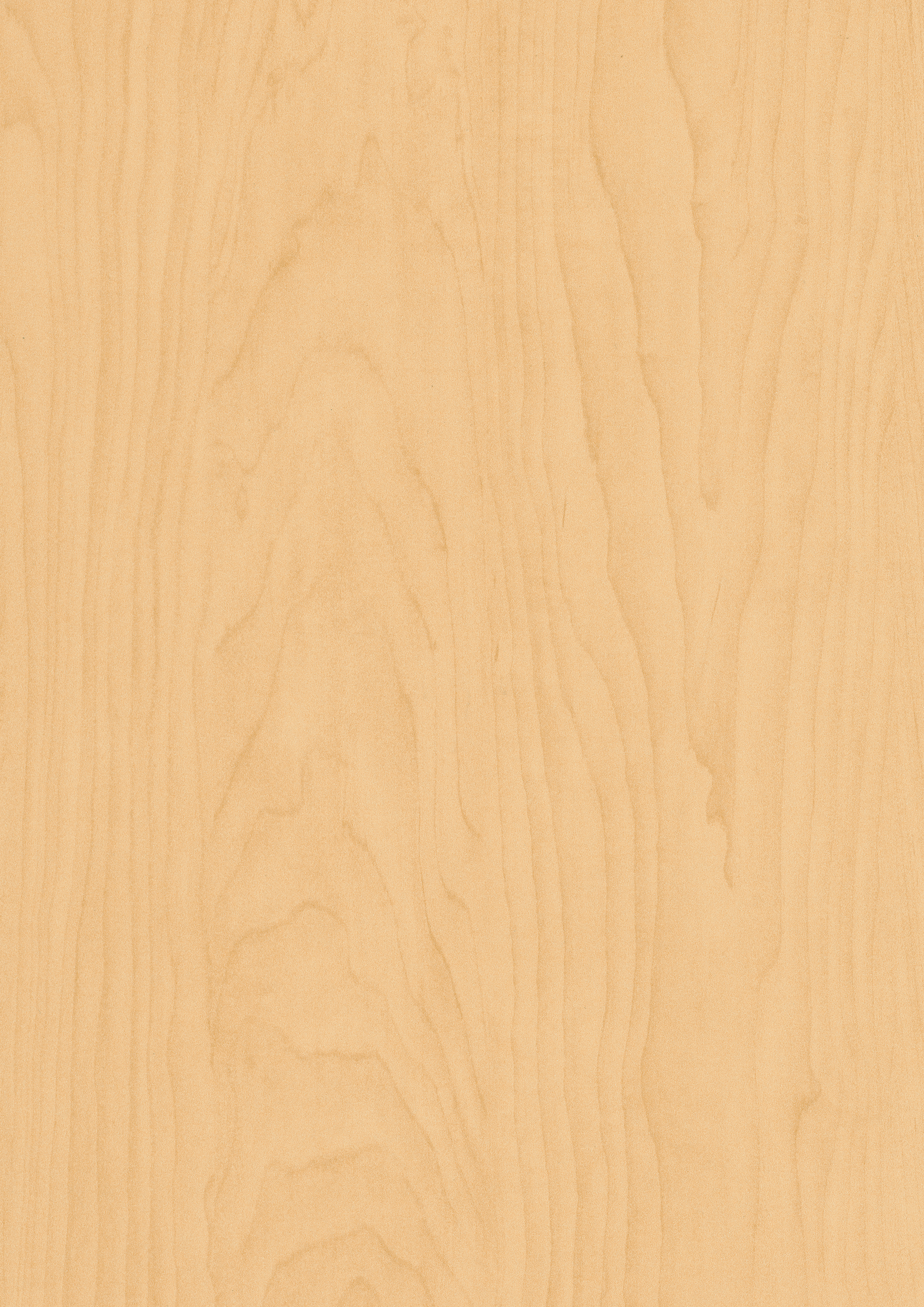 Egger_Hardrock_Maple_H1815_ST14_Closeup