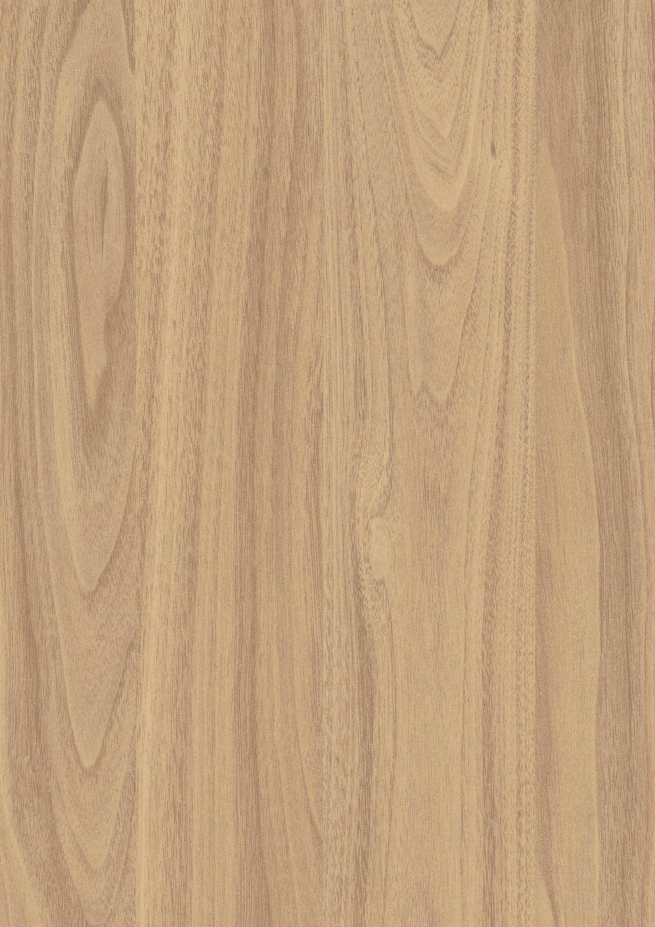 Egger_Honey_Carini_Walnut_H3790_ST12_Closeup