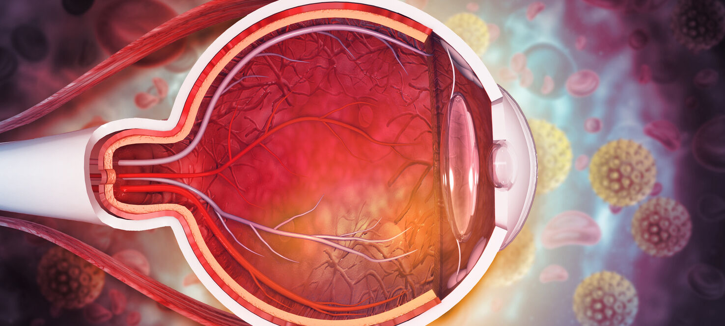 graphic image of the inside anatomy of an eye