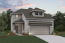 Petunia