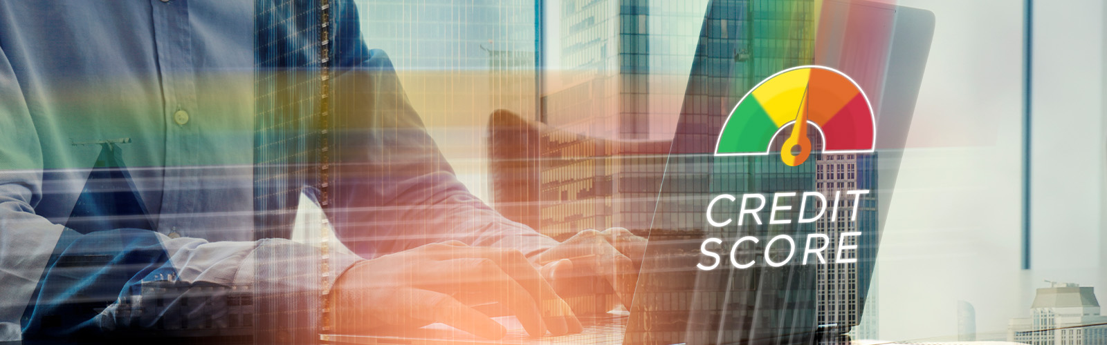 A person looking a computer with a 