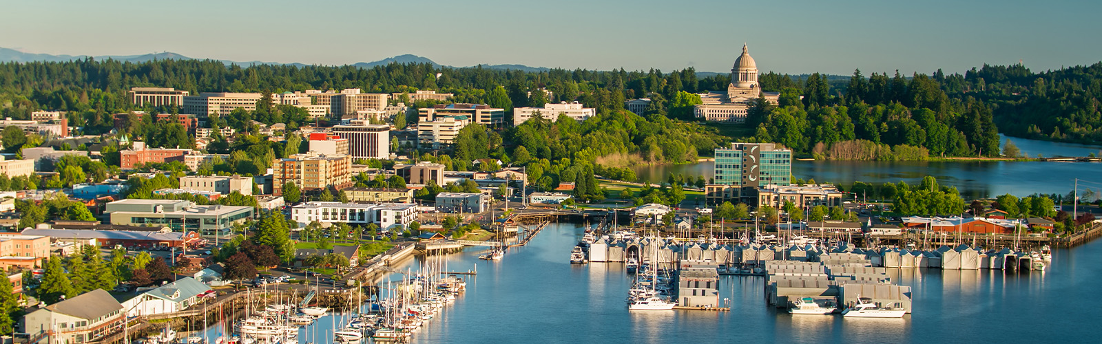 A view of a Washington skyline