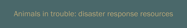 Homepage banner - Disaster response (650 &times; 100 px).png