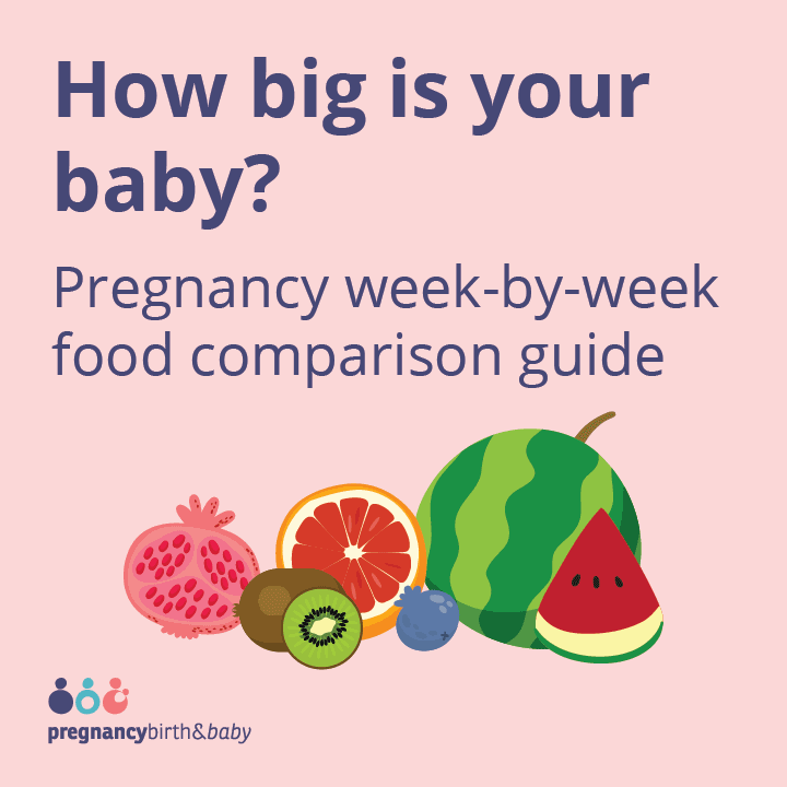 How big is your baby infographic promotional tile.
