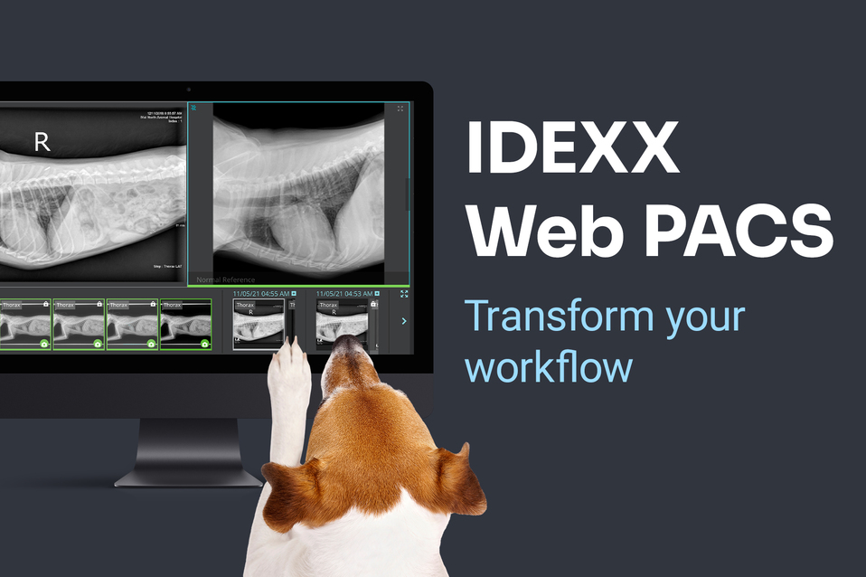 IDEXX_WebPACS_AdvertorialImagevFA.jpg IDEXX_WebPACS_AdvertorialImagevFA.jpg