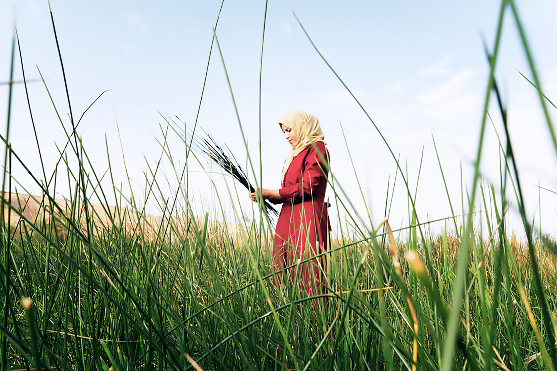 Woman in a field. Image copyright: © IFAD / Alfredo D'Amato / Panos 