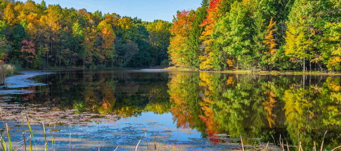 An image of the terrain in Ohio
