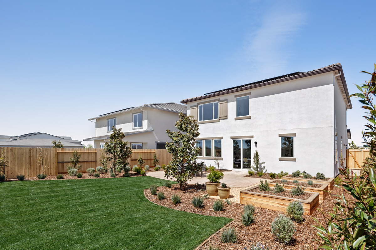 backyard with grass and raised garden beds